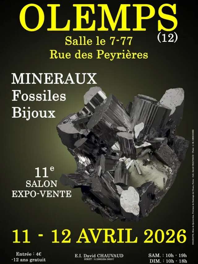 11e Salon des Minéraux Fossiles Bijoux