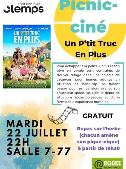 Picnic-ciné