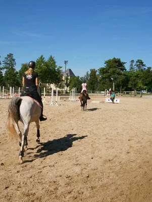 Concours d’attelage