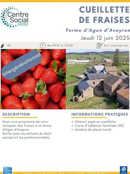 Cueillette de fraises avec le Centre Social de Rodez