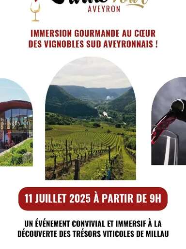 Aveyron Wine Tour