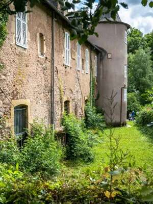 Regards sauvages - Faune