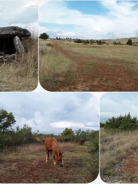 Mercredis cultur'actifs : sortie tumulus, atelier et goûter - COMPLET