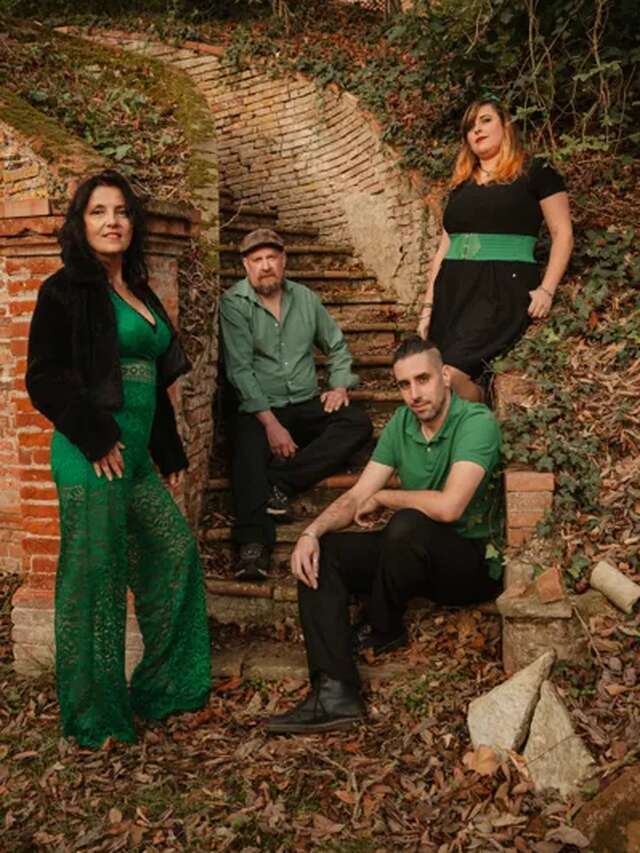 Tara's folk : concert folk irlandais