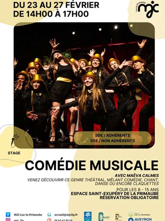 STAGE : Comédie musicale