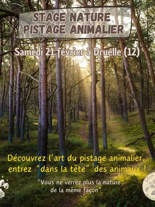 Stage Pistage Animalier (Adultes)