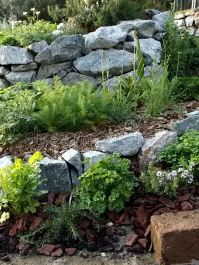 Atelier Jardinage : La Spirale Aromatique