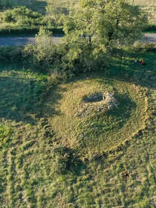 Conférence au musée Fenaille : "Des os aux individus : comment le projet Link redonne une identité aux défunts des dolmens de l'Aveyron"