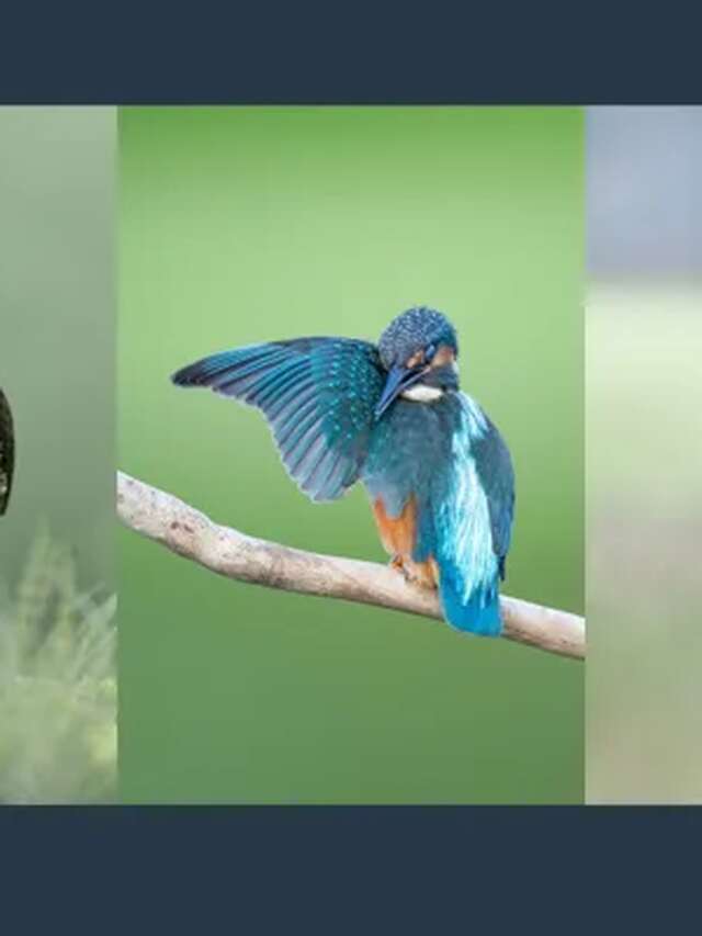 Exposition Théo Bonnefous