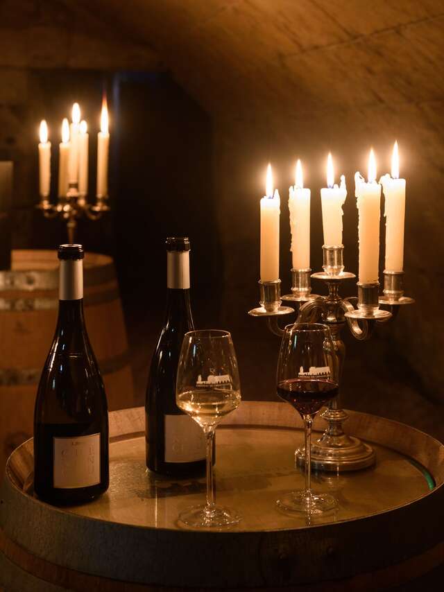 Dégustation en accords mets et vins