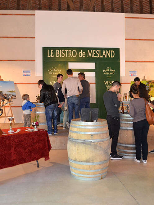 29e édition du Salon des vins du touraine-mesland