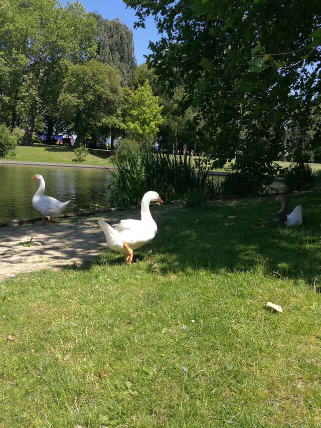 Parc de la Tour des Dames