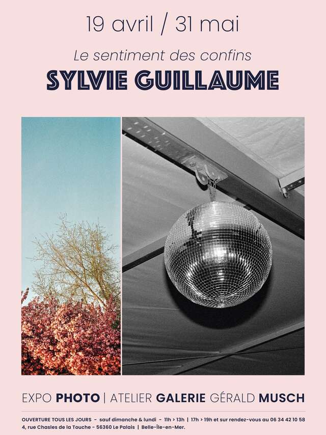 Exposition : Sylvie Guillaume "Le sentiment des confins"