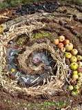 Land art : la nature, quel lieu idéal pour s’exprimer !