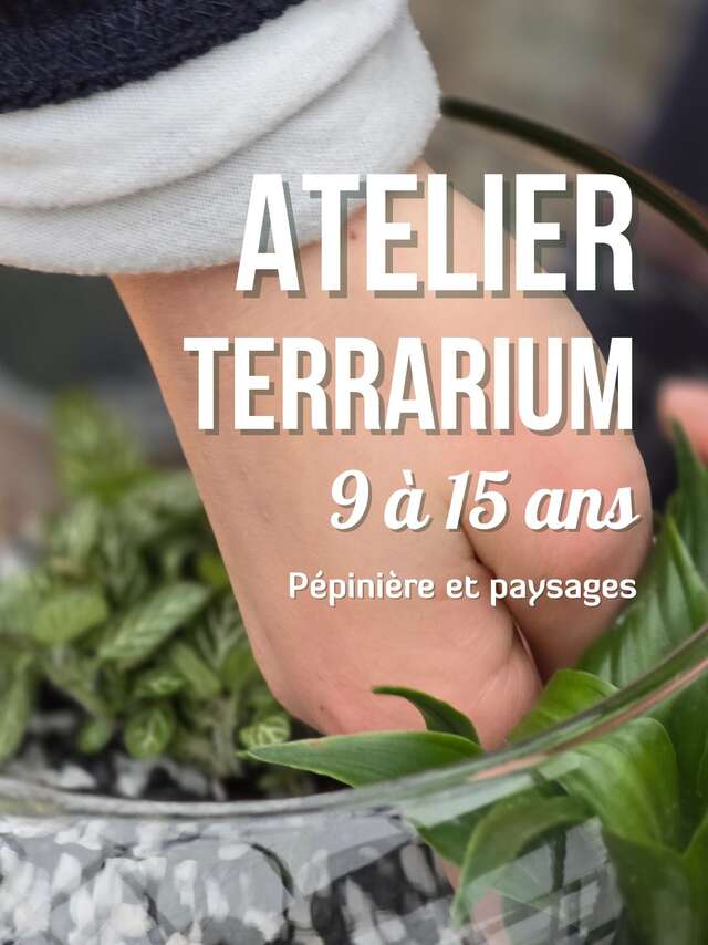 Atelier Terrarium (9 à 15 ans)