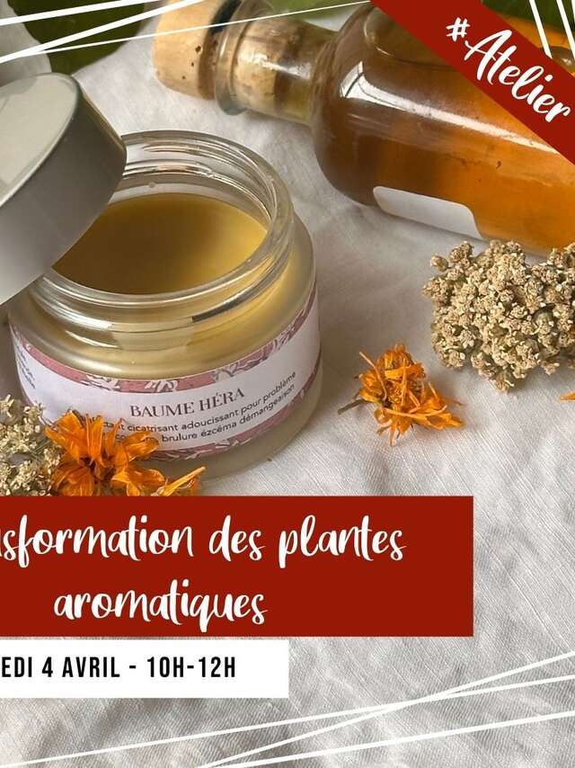 Atelier Transformation de vos plantes aromatiques