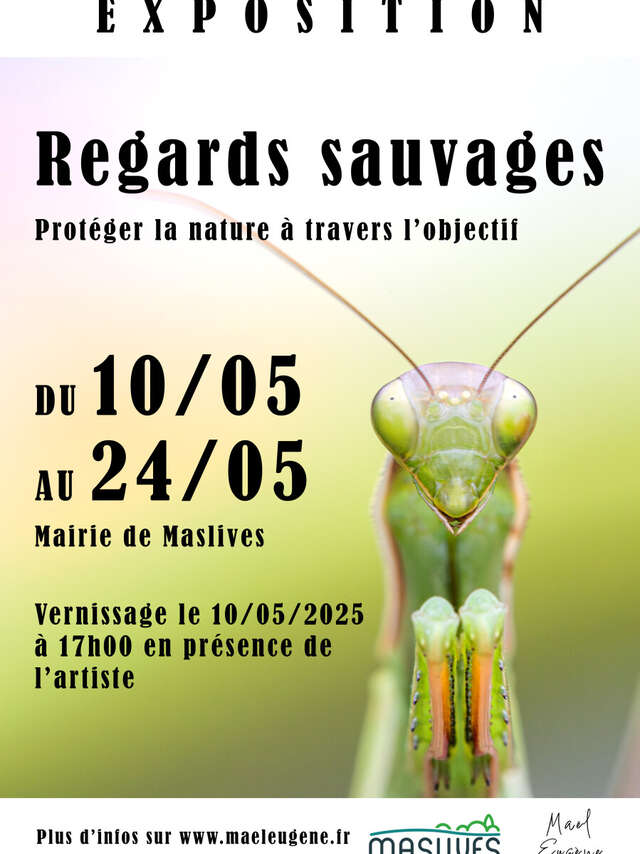 Exposition Regards Sauvages