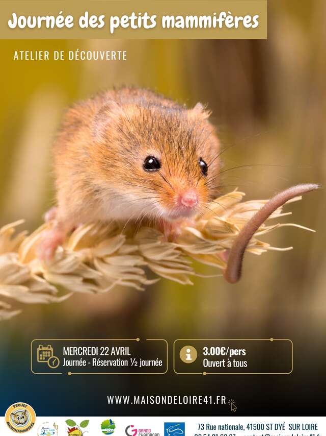 Journée des petits mammifères