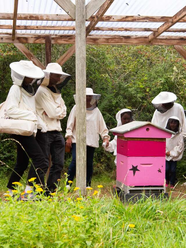 Voyage au centre de la ruche