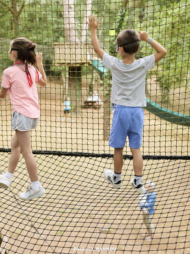 Chasse aux œufs dans les arbres
