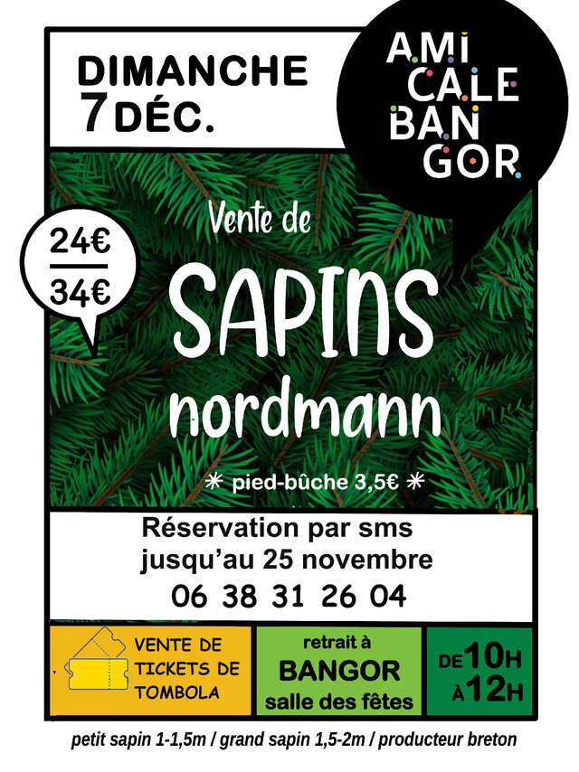 Vente de sapins Nordmann