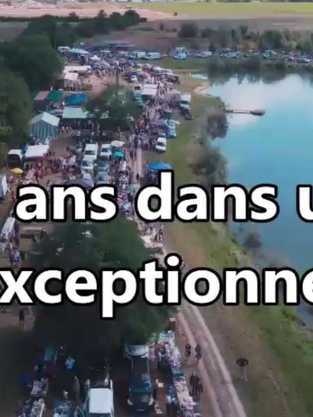 Brocante Du Domino