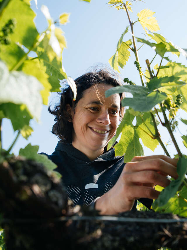 L'Immersion Vigneronne, entre Terroirs et Cépages