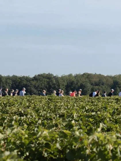 Échappées en Loire