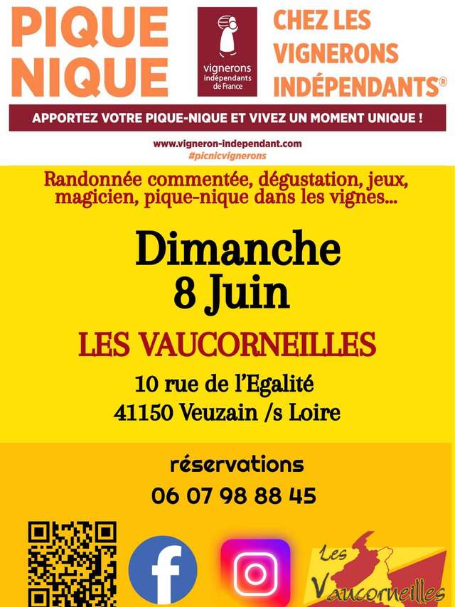 Pique Nique : Vignerons Indépendants : Les Vaucorneilles