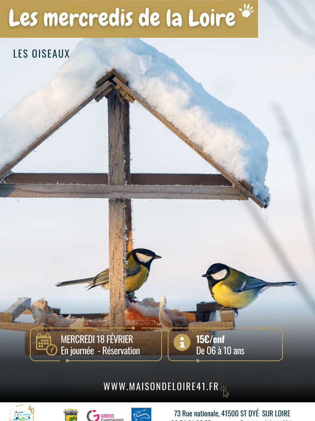 Les mercredis de la Loire : les oiseaux