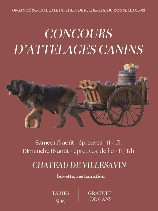 Concours d'attelages canins