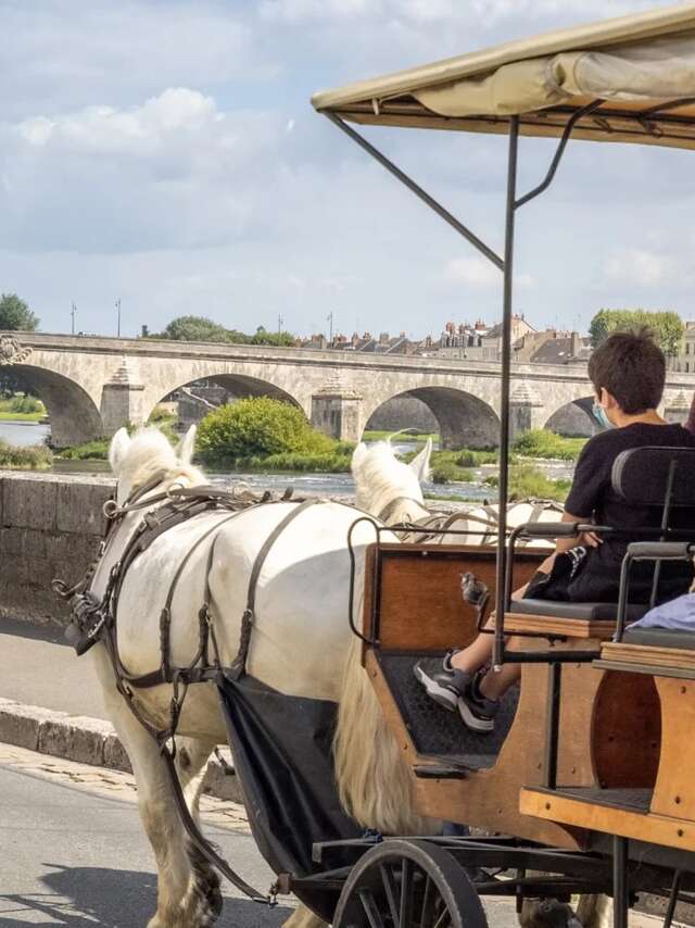 “En voiture !” avec les Attelages du Château