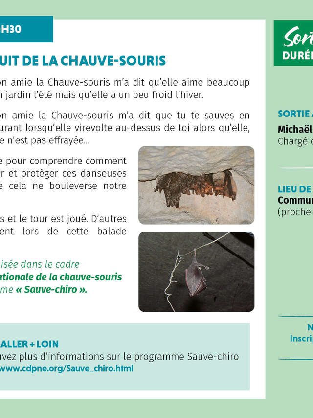 Nuit de la Chauve-Souris