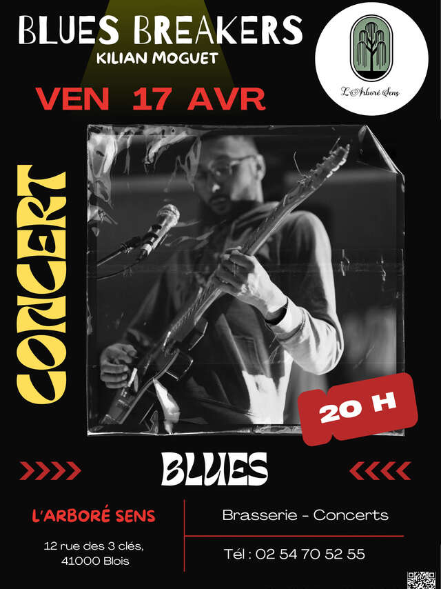 Concert BLUES BRAKER