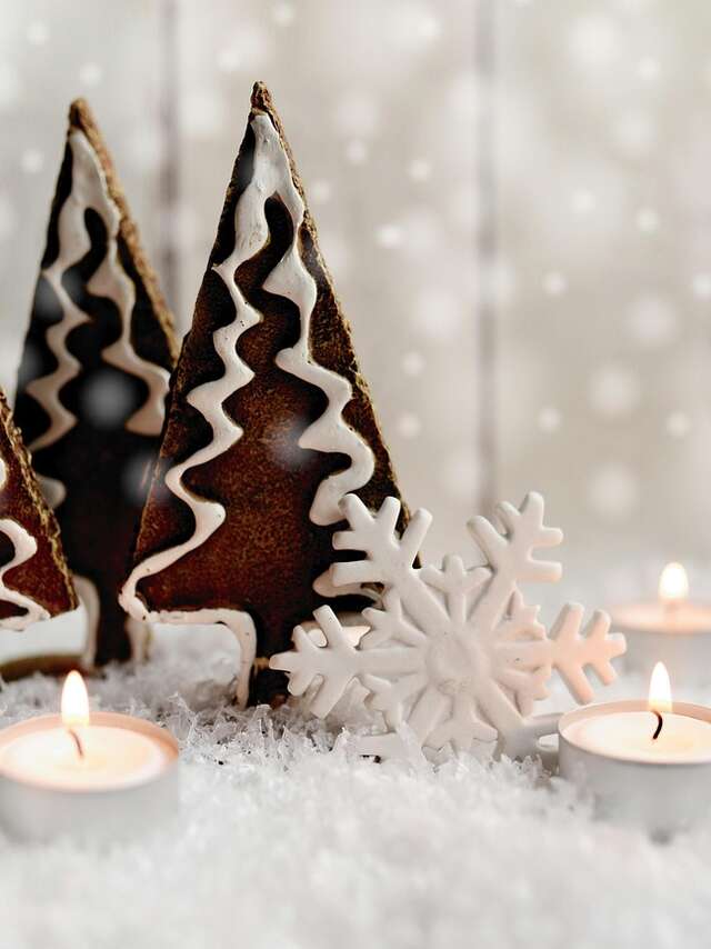 Patinoire Polarys - Le marché de Noël