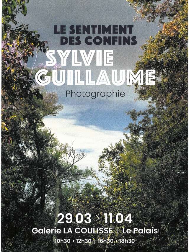 Exposition : Sylvie Guillaume "Le sentiment des confins "