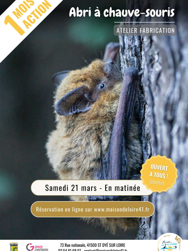 Abri à chauve-souris 1 Mois 1 Action