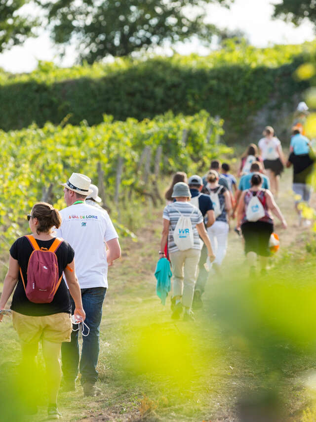 Vignes, Vins, Randos
