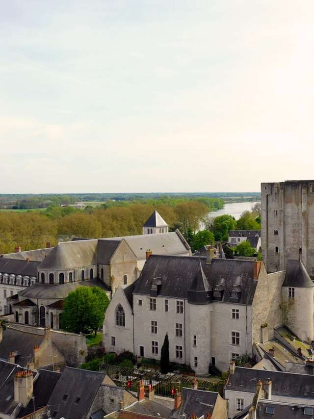 Château de Beaugency - Château de Lumières