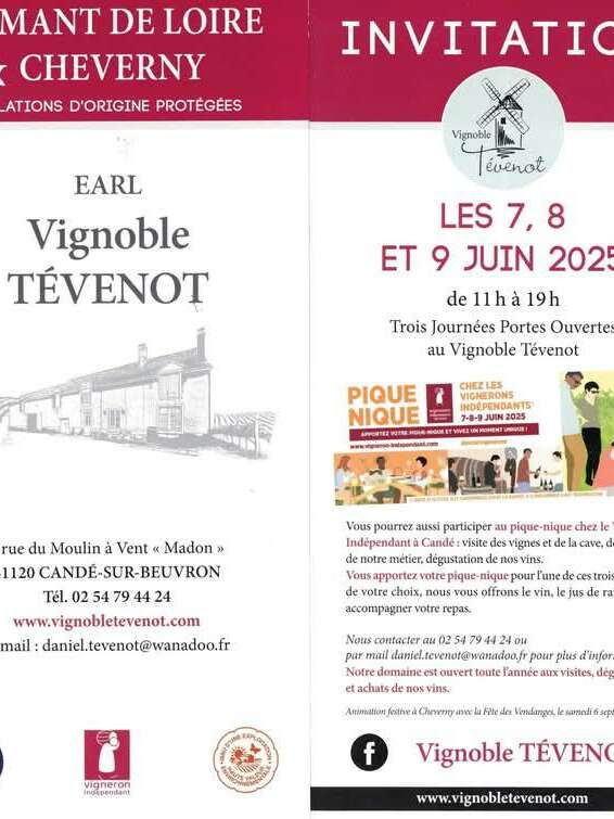 Pique Nique : Vignerons Indépendants : Vignoble Tévenot