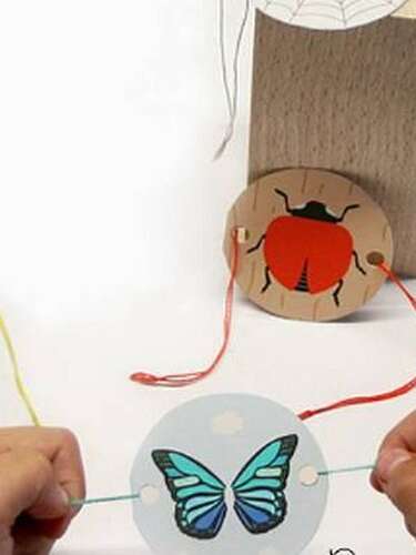 Atelier « Thaumatrope »