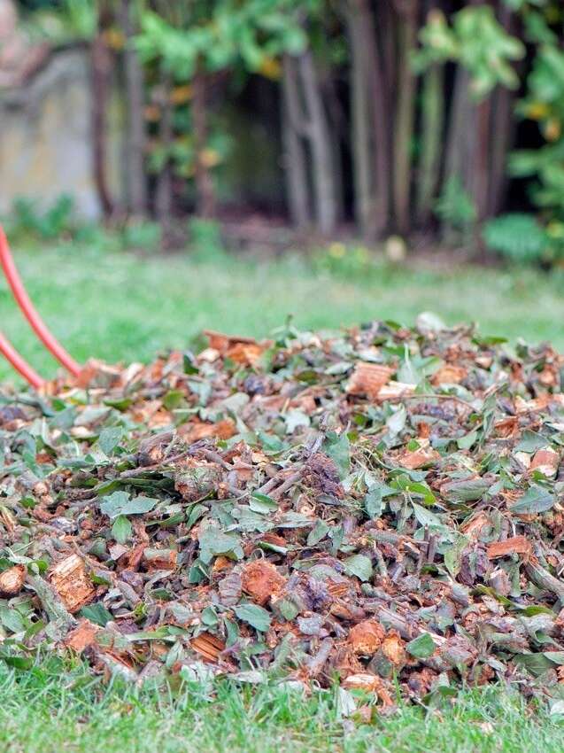 Atelier « j’apprends à composter et à jardiner au naturel »