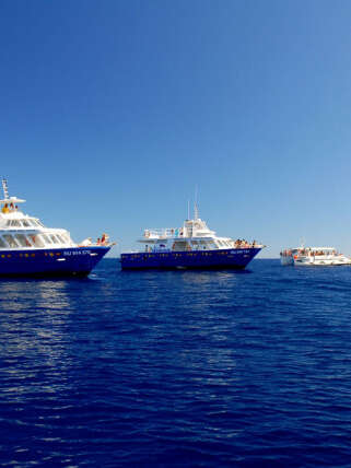 Grand Bleu (Le)