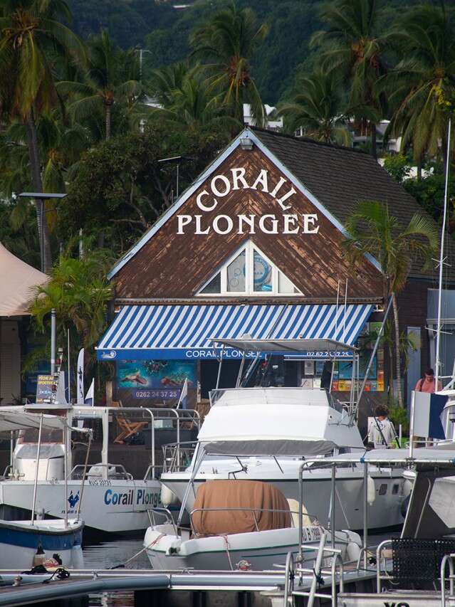 Corail Plongée