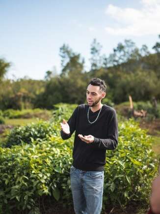 Labyrinthe en Champ Thé (Le)