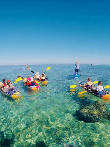 Kayak Transparent et Paddle