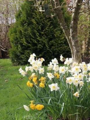 VISITE GUIDÉE | "Rendez-vous au Jardin" au Jardin de Marike