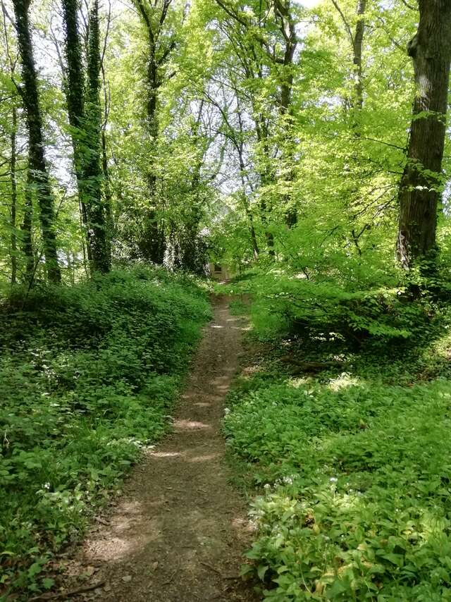 Sous les arbres, une pause bien-être à Ault