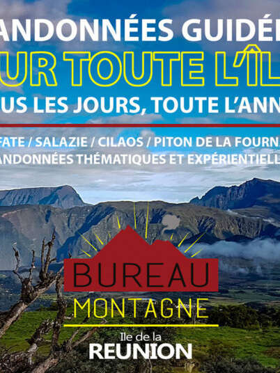 Bureau Montagne Réunion