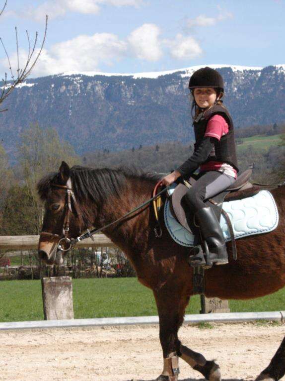 Cours d'équitation